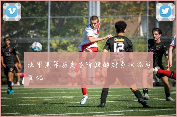 法甲里昂历史各阶段的财务状况与变化
