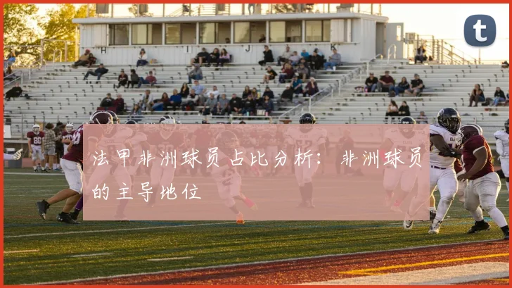 法甲非洲球员占比分析：非洲球员的主导地位