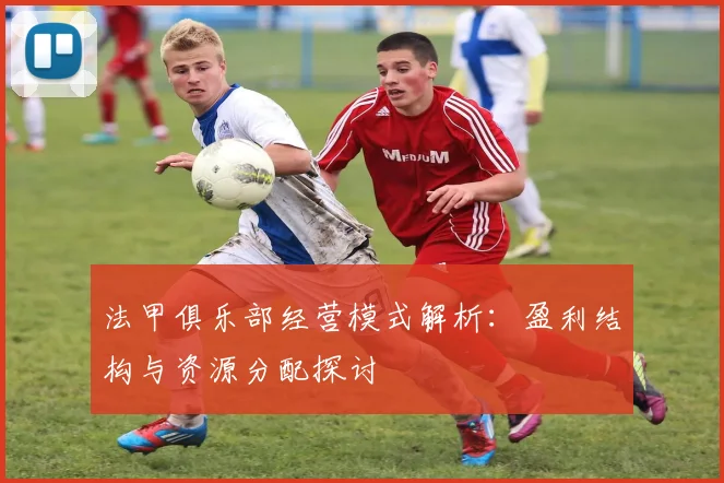 法甲俱乐部经营模式解析：盈利结构与资源分配探讨